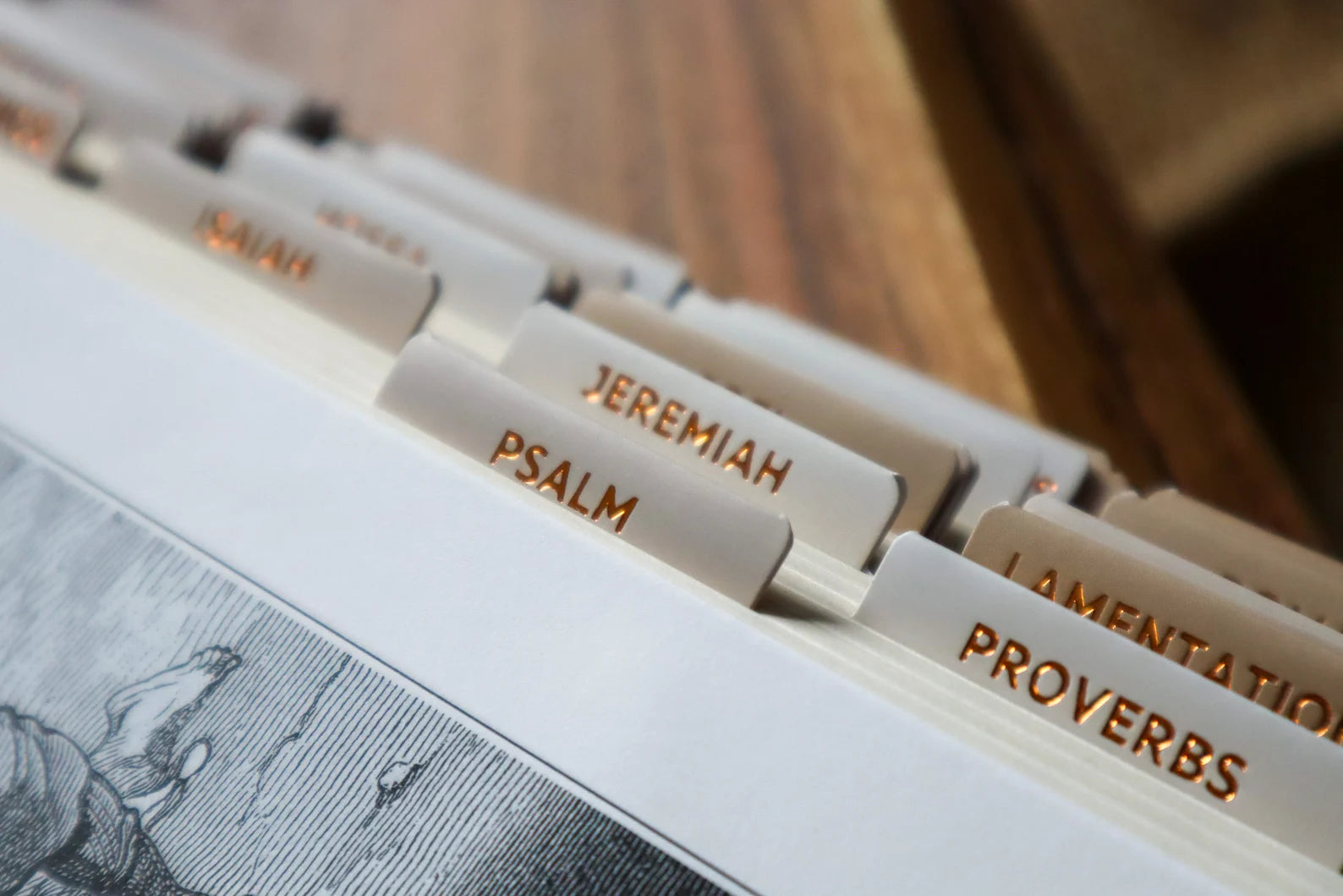 Bible Tabs Sand Copper | Matte-Coated Sticker Tabs