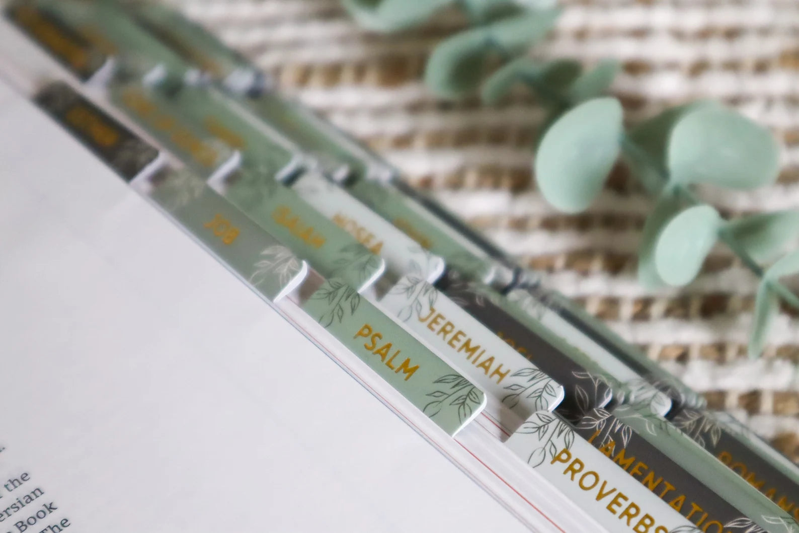 Bible Tabs Pine Bliss | Matte-Coated Sticker Tabs