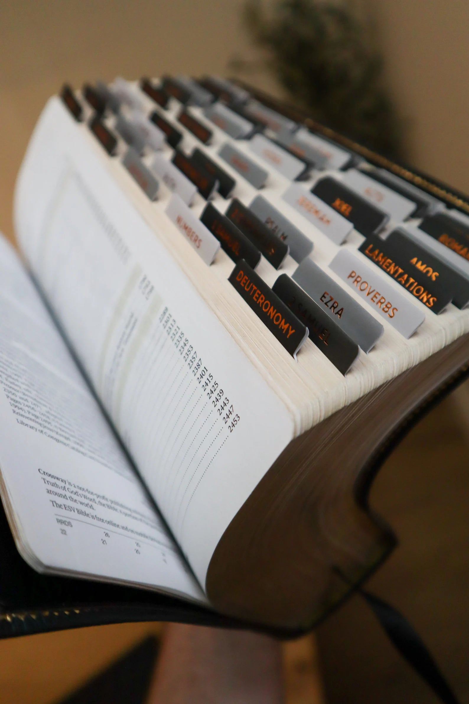 Bible Tabs Black Copper & Matte-Coated Sticker Tabs