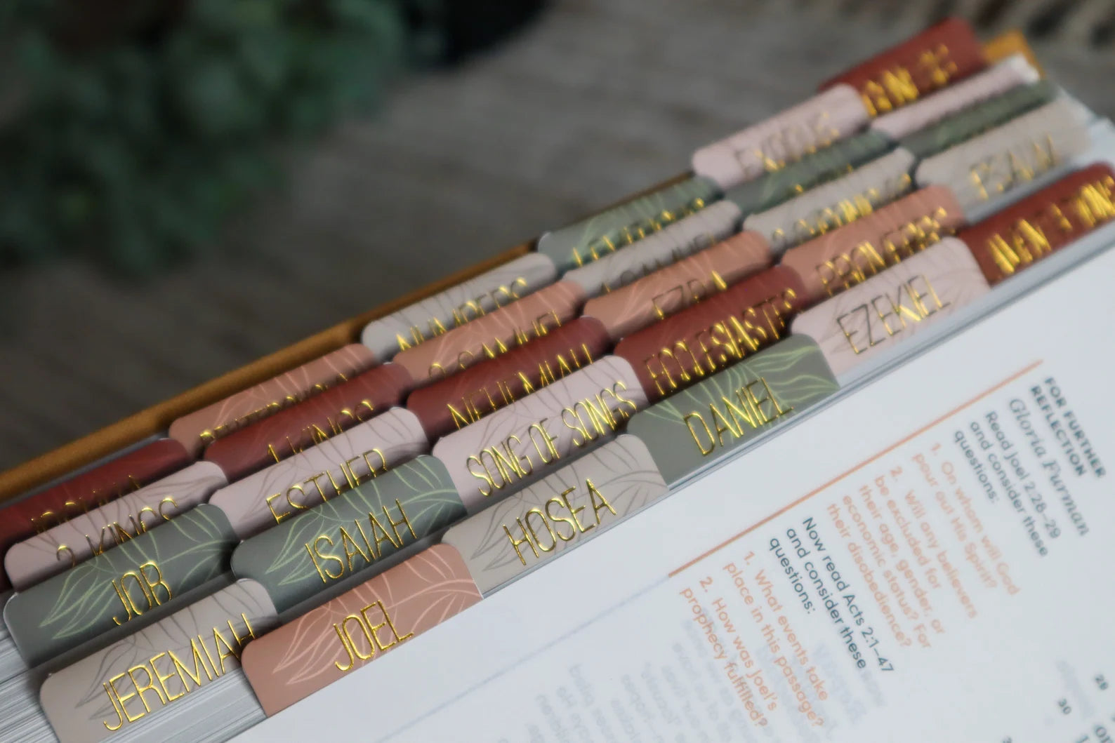 Bible Tabs Earth Tone & Matte-Coated Sticker Tabs