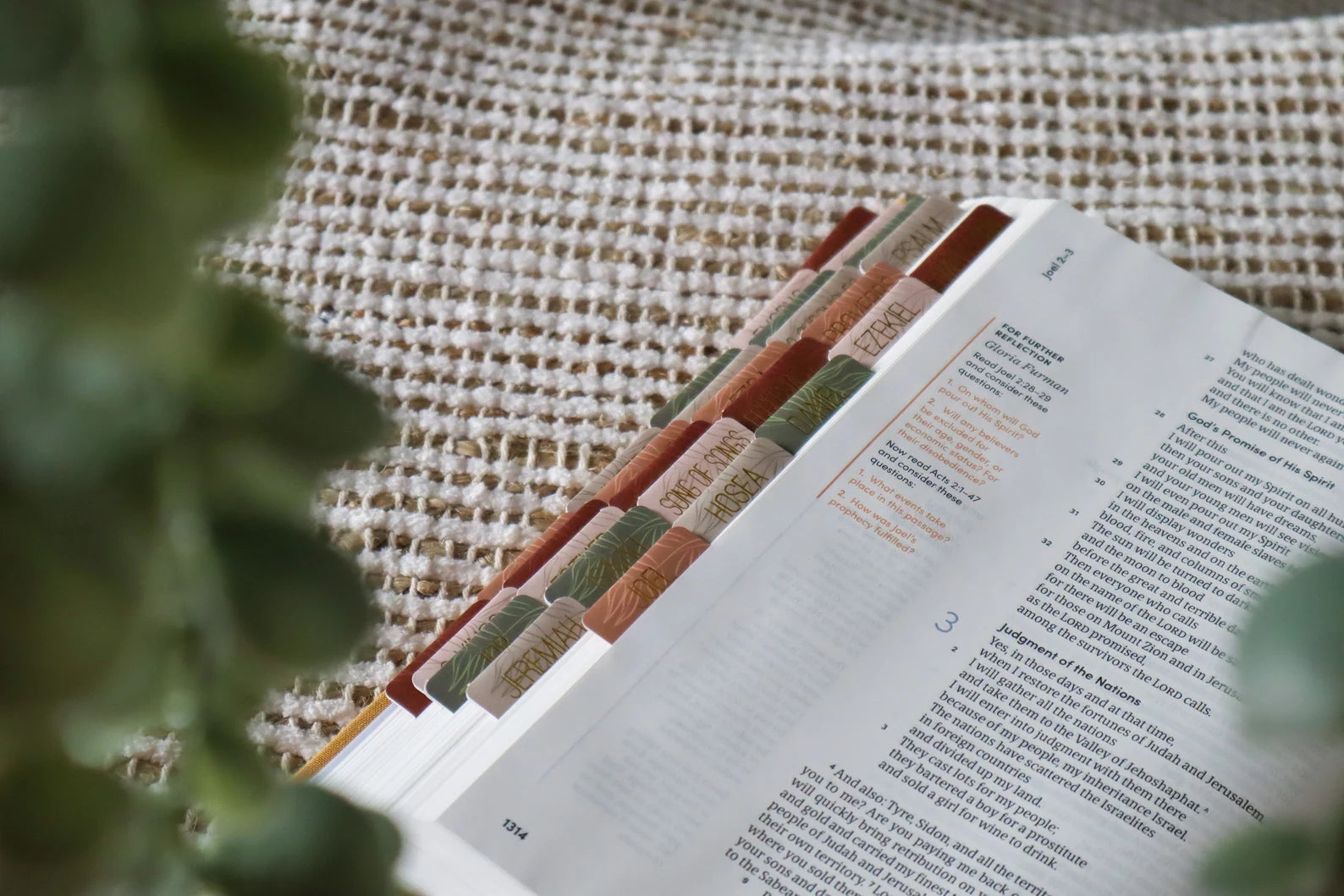 Bible Tabs Earth Tone & Matte-Coated Sticker Tabs