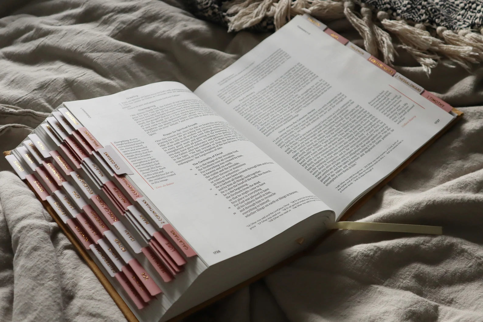 Bible Tabs Pink Gold | Matte-Coated Sticker Tabs