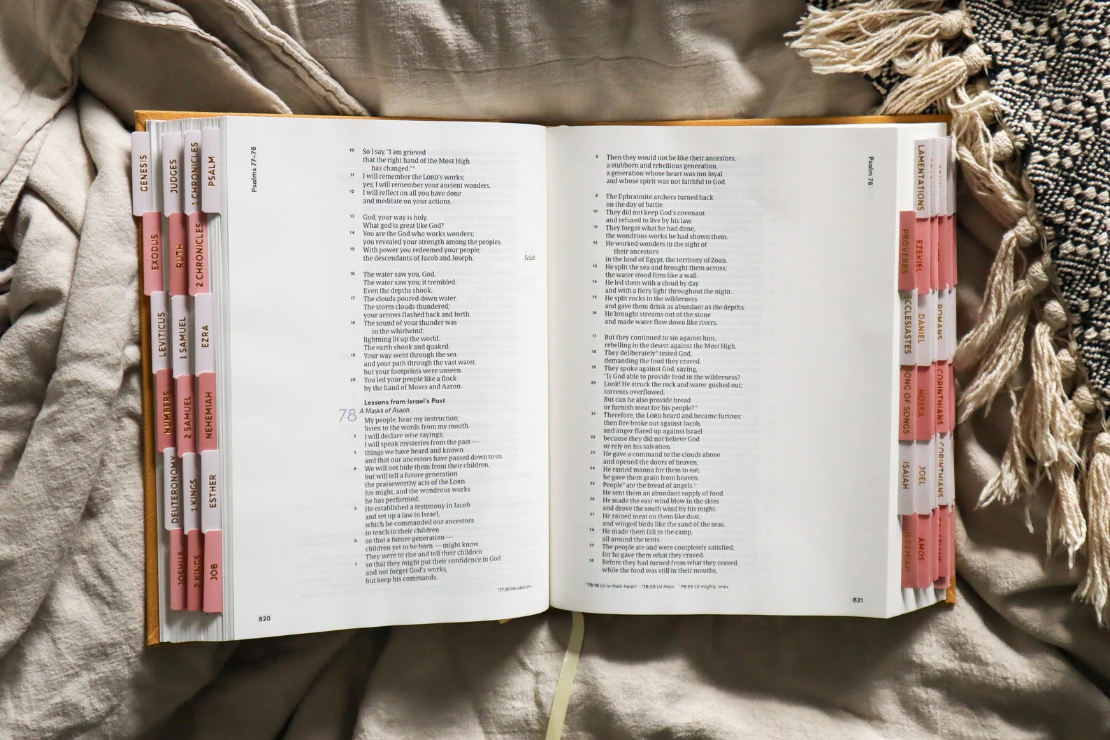 Bible Tabs Pink Gold | Matte-Coated Sticker Tabs