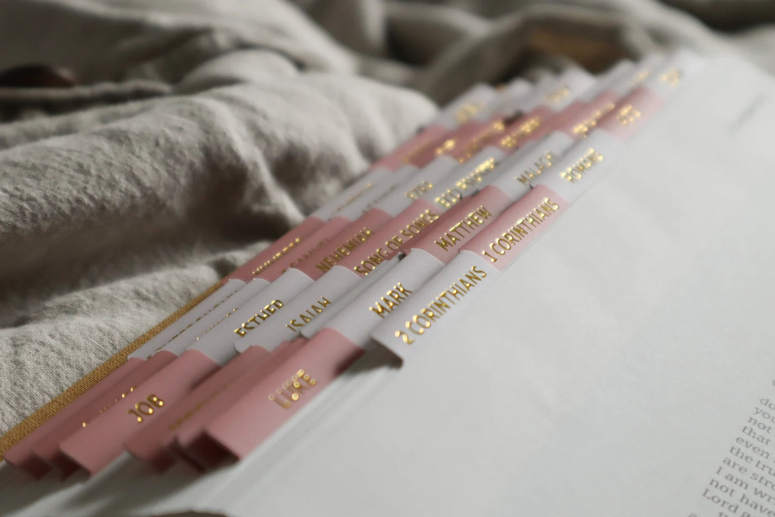 Bible Tabs Pink Gold | Matte-Coated Sticker Tabs