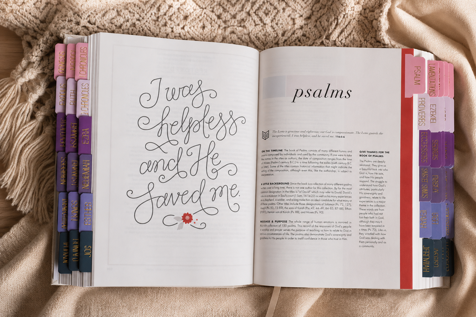 Bible Tabs — Purple + Gold Foil (Matte-Coated)