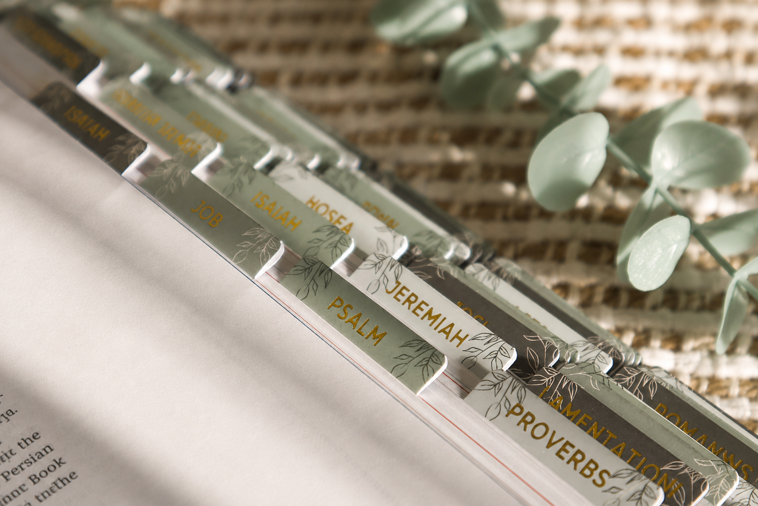Bible Tabs — Pine Green + Gold Foil (Matte-Coated)
