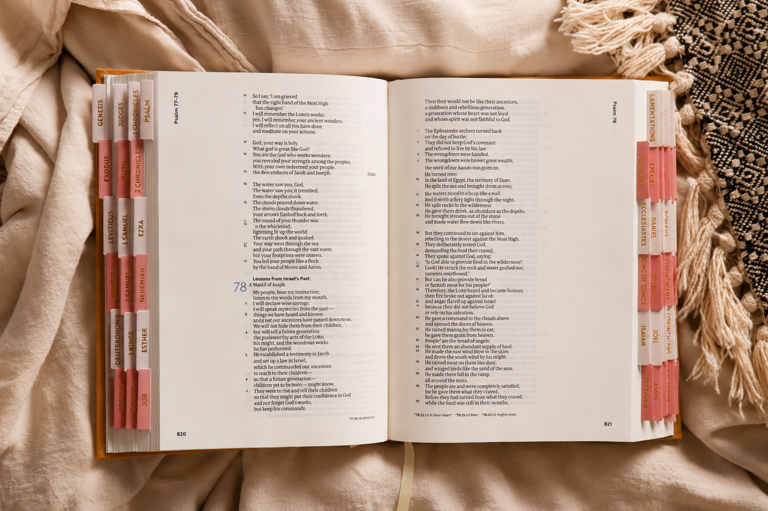 Bible Tabs — Pink + Gold Foil (Matte-Coated)