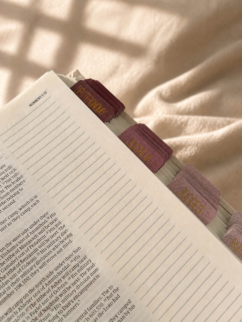 Pestañas adhesivas con revestimiento mate de color azul neutro para la Biblia