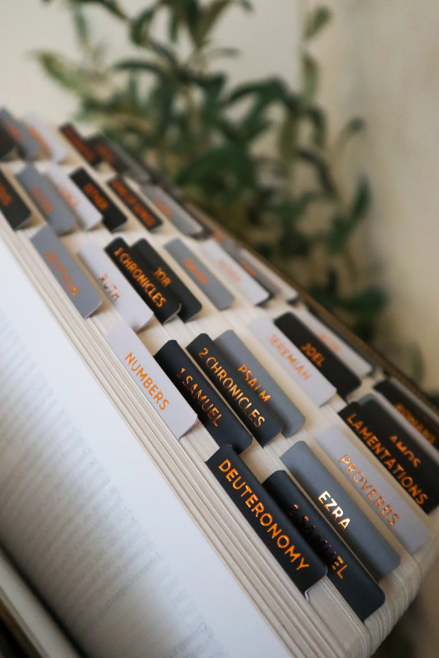Bible Tabs Black Copper & Matte-Coated Sticker Tabs